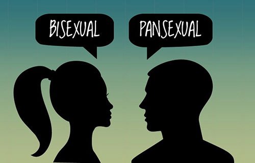 Pansexual là gì xu hướng tính dục của người toàn tính không giới hạn bởi giới tính